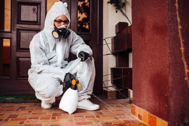 Reliable Cockroach Control contractor in Magnolia, AR by Nex Pest Control